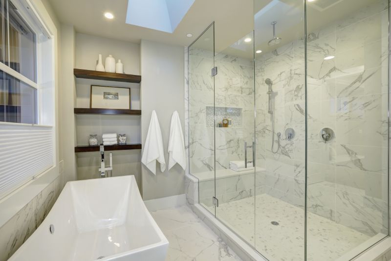 Stylish Shower and Tub Combo